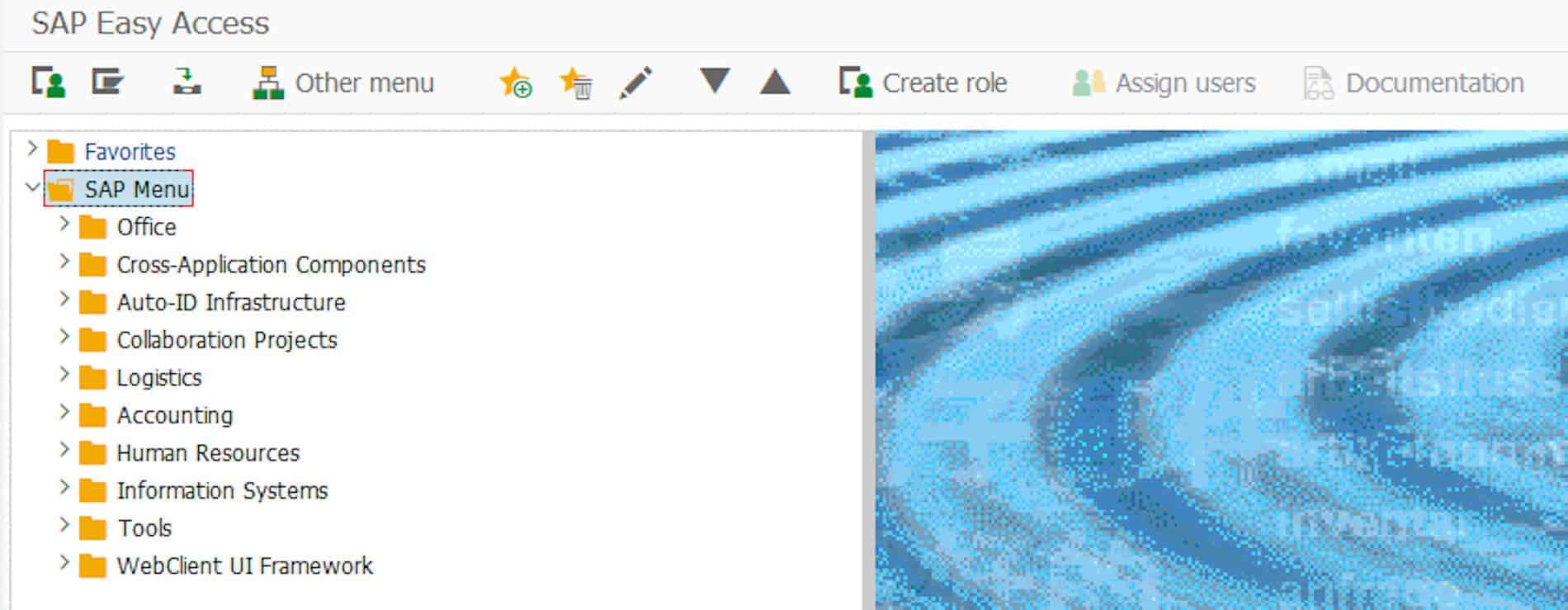 This is what the SAP interface looks like for a signed in user. The different modules are easily identified. This is what the SAP interface looks like for a signed in user. The different modules are easily identified.